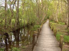 Marais de Lavours